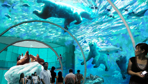 Harbin Aquarium and Animal Park